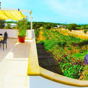 Kiteshomes Masainas