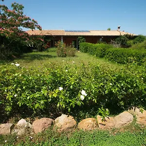 Fattoria Corte Noa Masainas